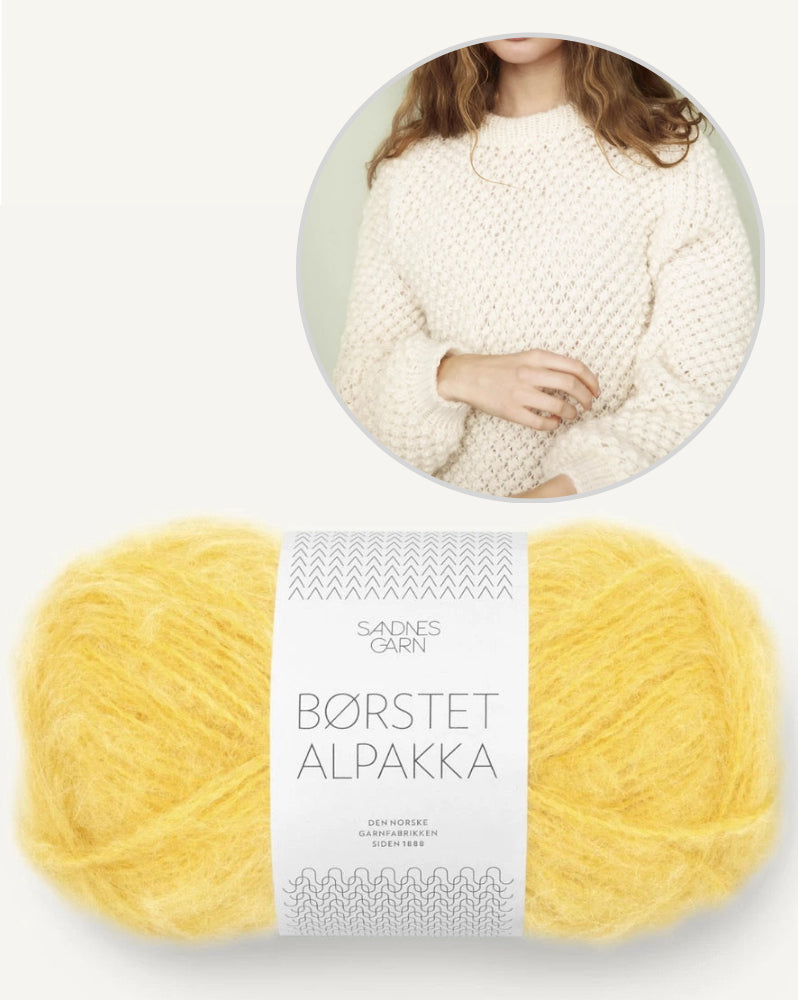 Sandnes Alba Pullover mit Gratisanleitung aus Borstet Alpakka 5