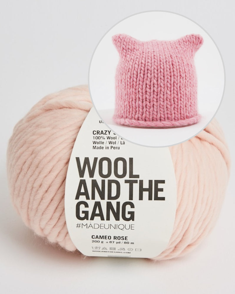 Wool and the Gang Cat Knits Hat mit Crazy Sexy Wool 6