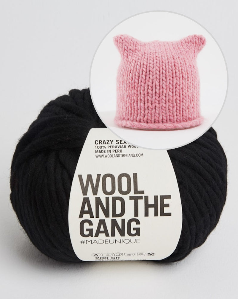 Wool and the Gang Cat Knits Hat mit Crazy Sexy Wool 3