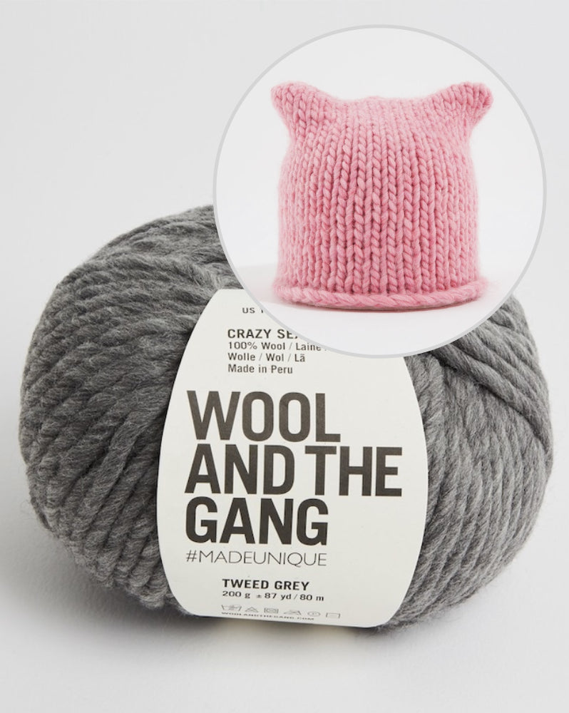 Wool and the Gang Cat Knits Hat mit Crazy Sexy Wool 2