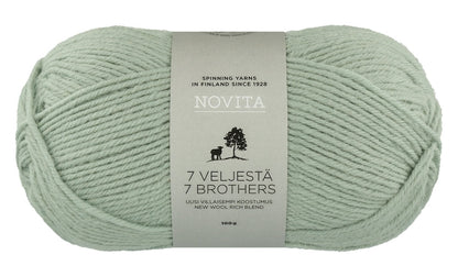 Novita 7 Brothers Farbe 305