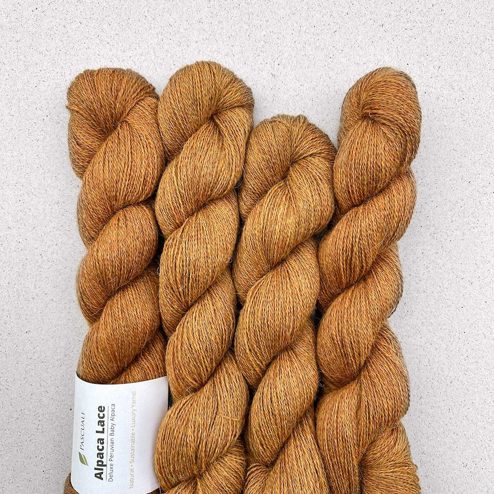 Pascuali Alpaca Lace Farbe 39