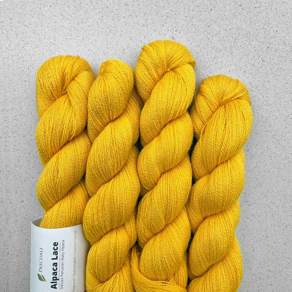 Pascuali Alpaca Lace Farbe 40