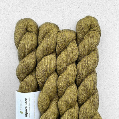 Pascuali Alpaca Lace Farbe 38