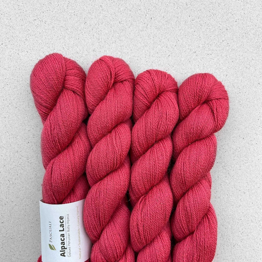 Pascuali Alpaca Lace Farbe 26