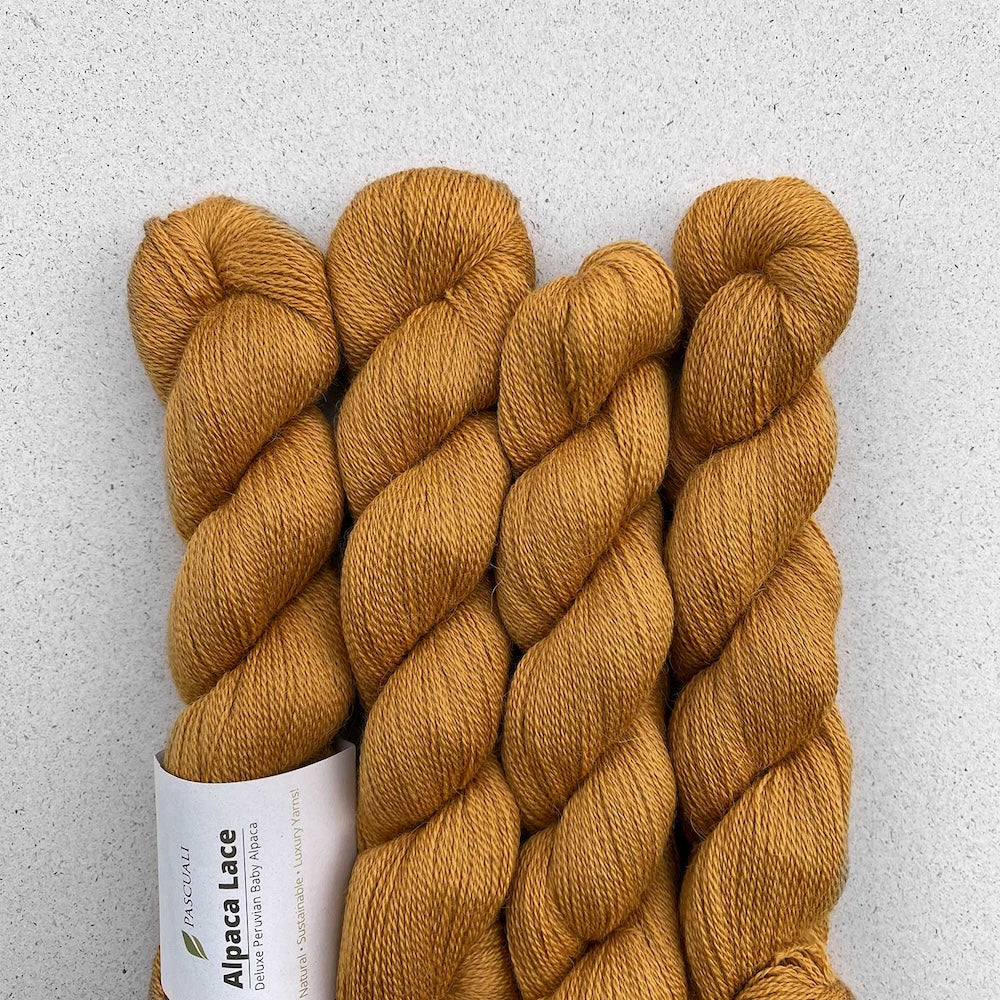 Pascuali Alpaca Lace Farbe 25