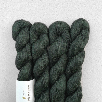 Pascuali Alpaca Lace Farbe 36