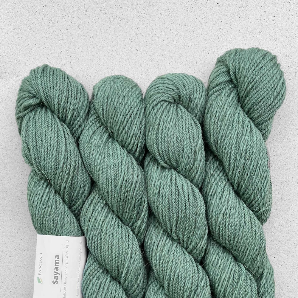 Pascuali Sayama Farbe 315