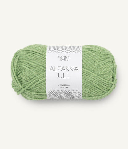 Sandnes Garn, Alpakka Ull Farbe 8733