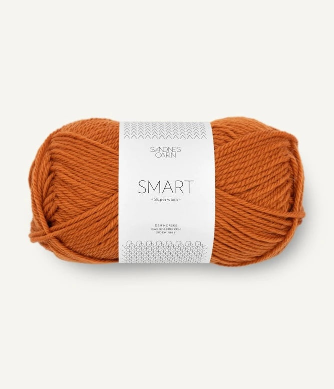 Sandnes Garn Smart Farbe 2745