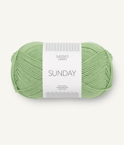 Sandnes Garn Sunday Farbe 8733