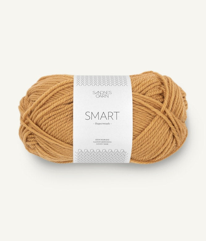 Sandnes Garn Smart Farbe 2136