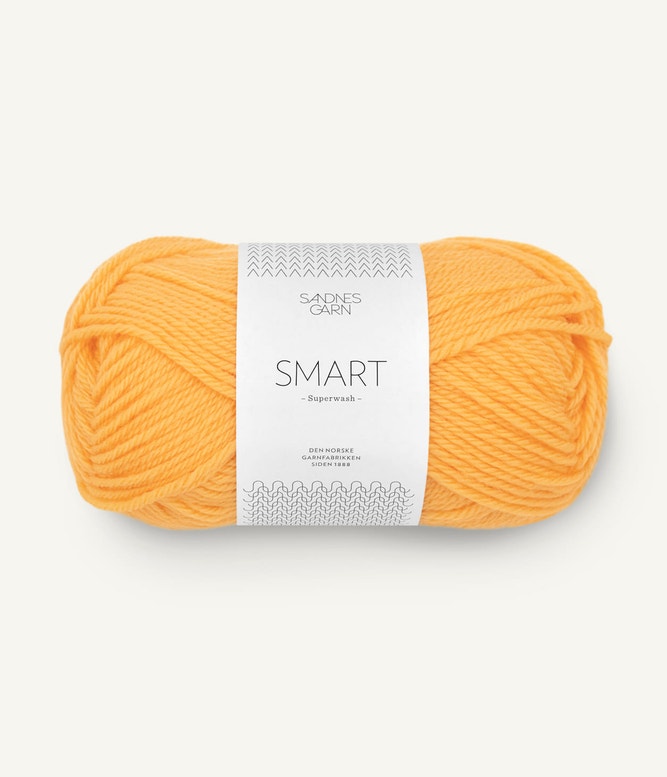 Sandnes Garn Smart Farbe 2206