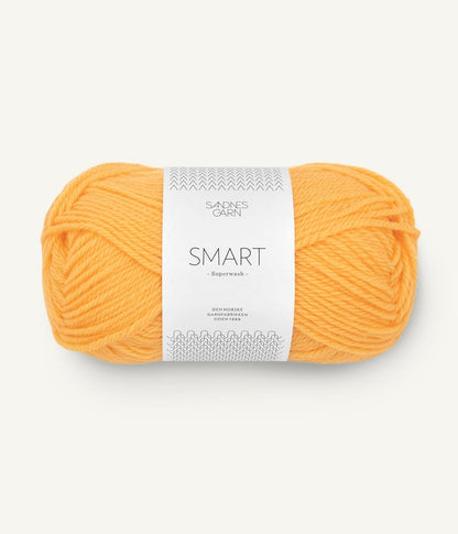 Sandnes Garn Smart Farbe 2206