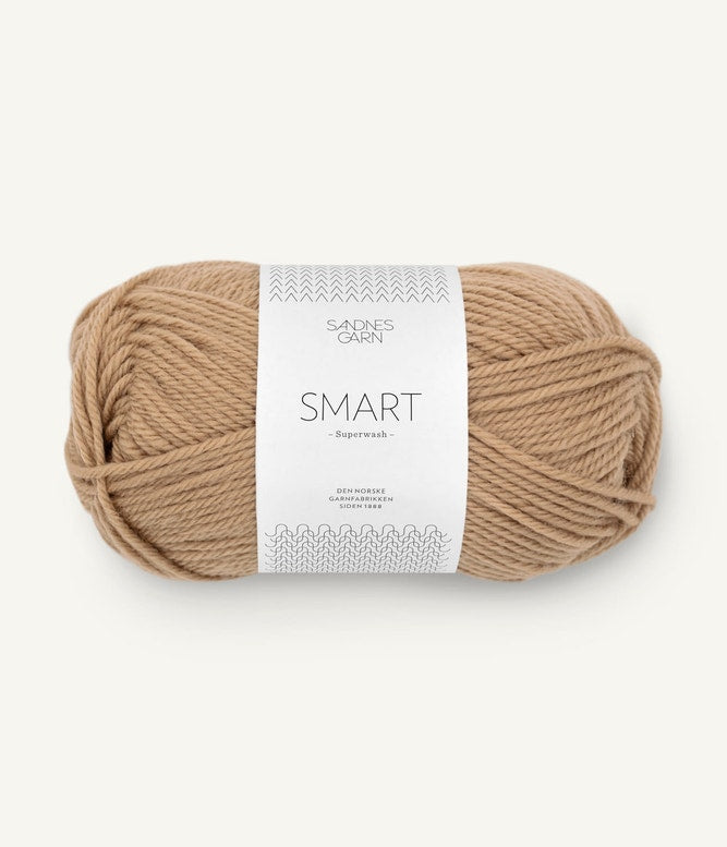 Sandnes Garn Smart Farbe 2542