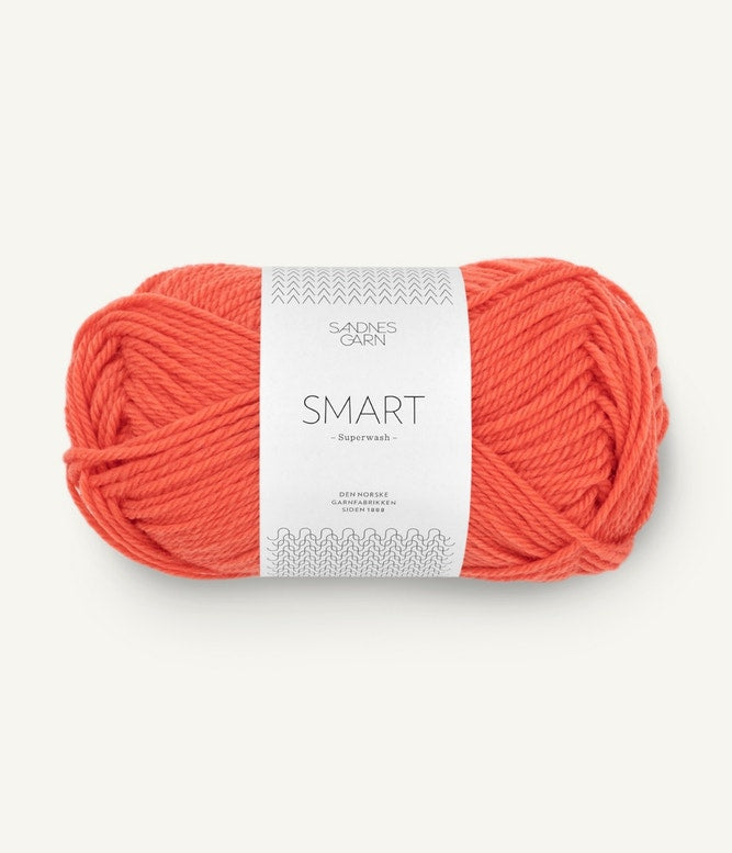 Sandnes Garn Smart Farbe 3817