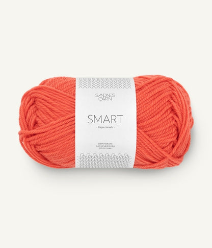 Sandnes Garn Smart Farbe 3817