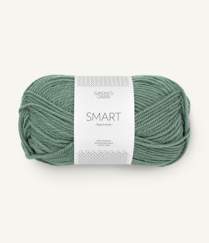 Sandnes Garn Smart Farbe 8051